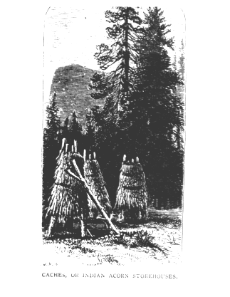 Discovery of the Yosemite in 1851--and the Indian war which led to that event.vist0021f